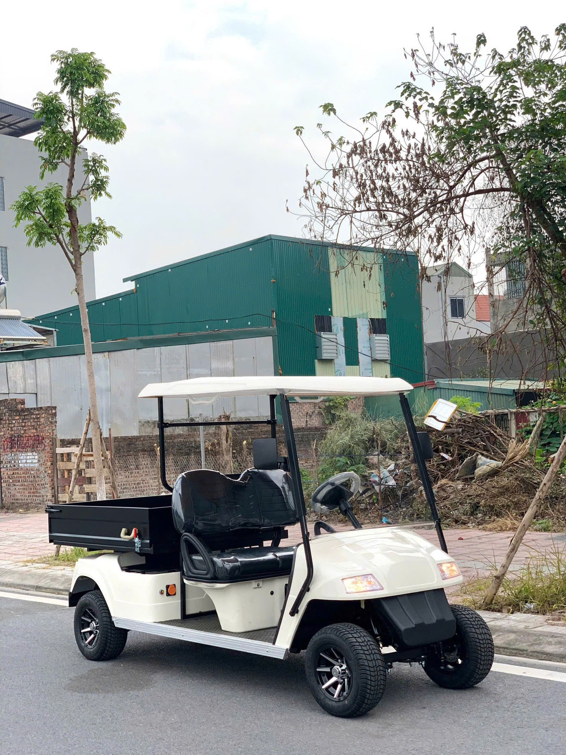 Xe điện chở hàng